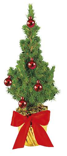 Festliches Bäumchen rot 20-30 cm