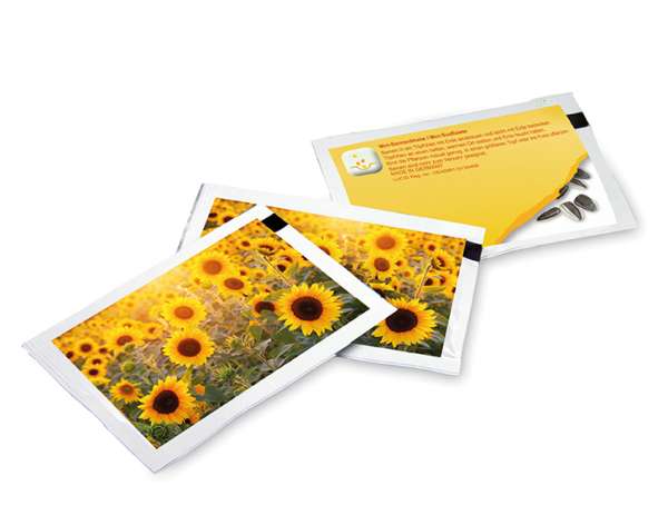 Samen-Briefchen - Standardmotiv - Sonnenblume