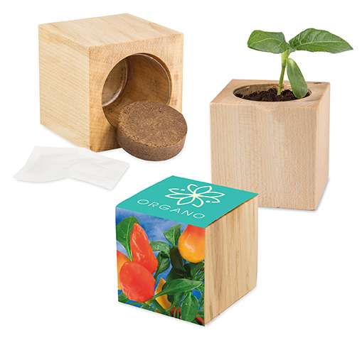 Pflanz-Holz Maxi mit Samen