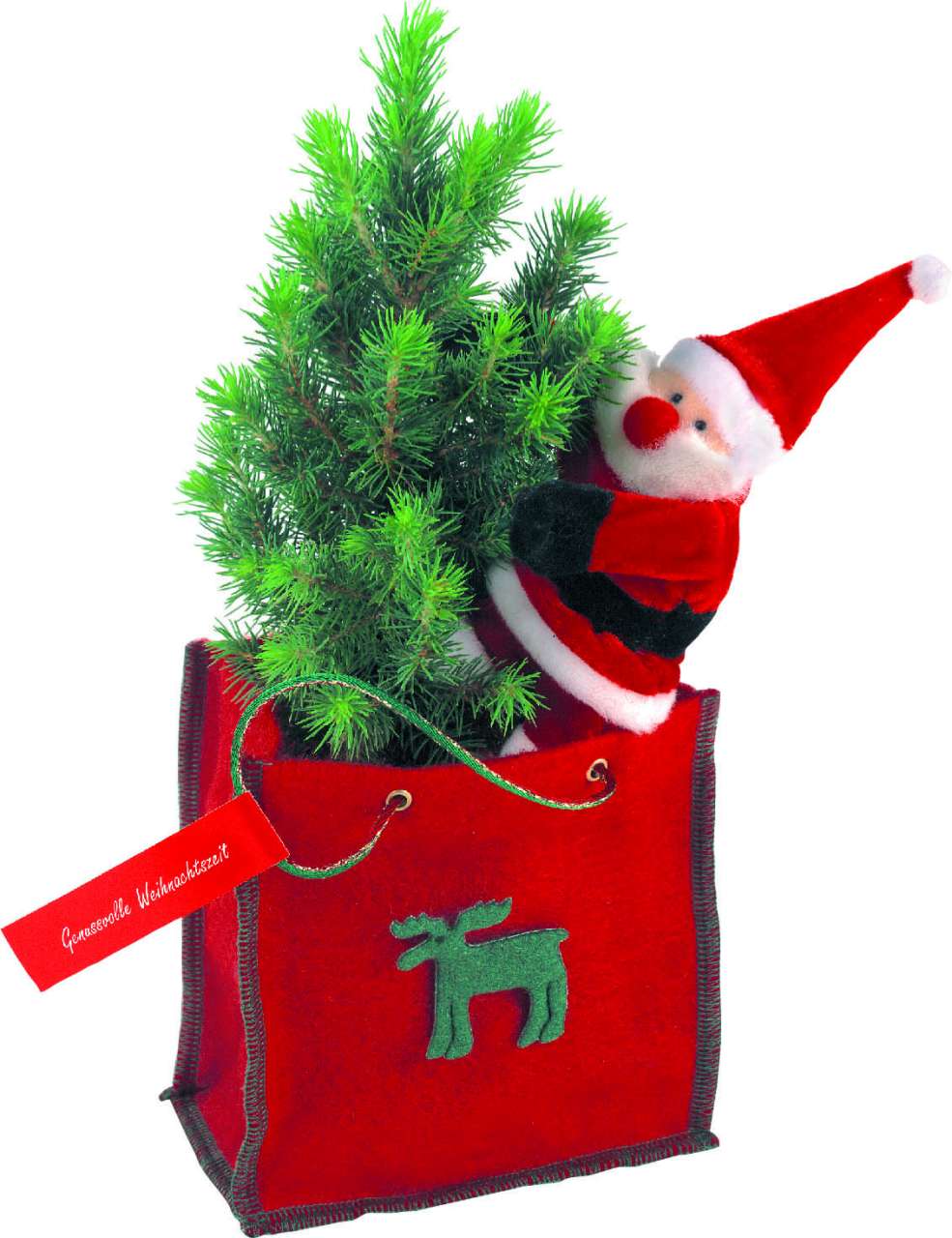 Bäumchen im Filztäschchen 20-30 cm