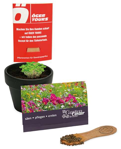 Pflanz-Stick mit Samen