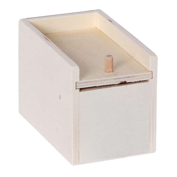 Grusel-Spinne in Holzbox