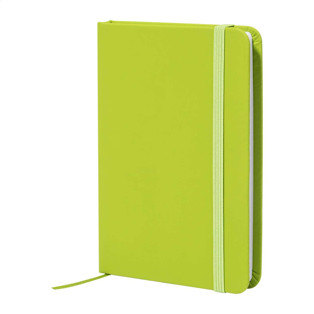 RPU Notizbuch Repuk Line A6