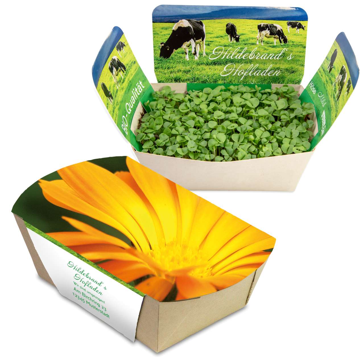 Pflanzodrom mit Samen