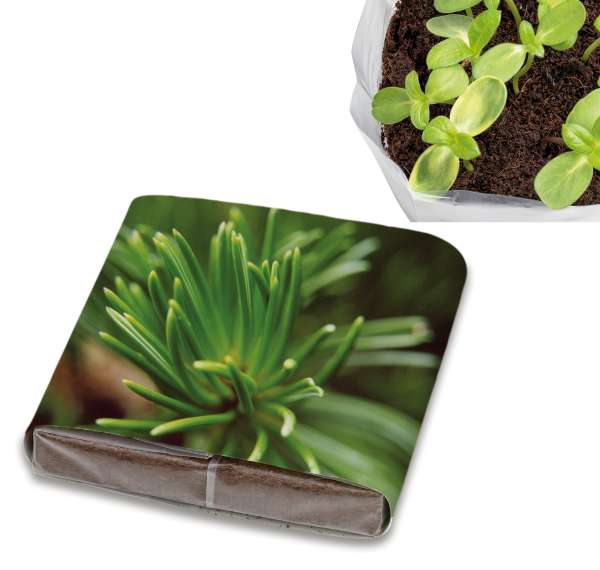 PopUp Anzuchterde mit Samen