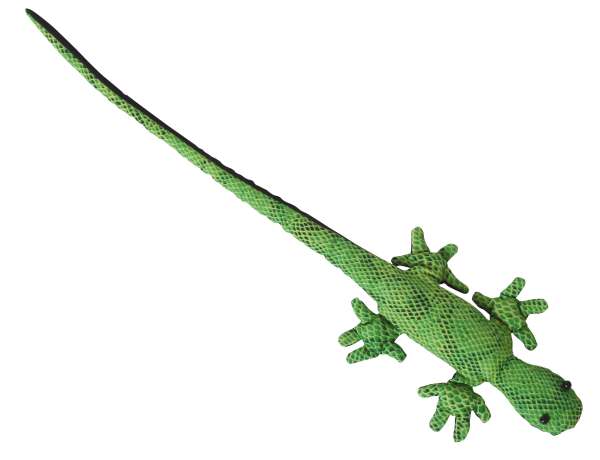 Sandtier Gecko Langschwanz