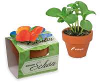 Gewürzpaprika inkl. Tampondruck