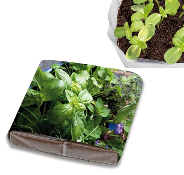 PopUp Anzuchterde mit Samen