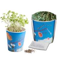 Thymian - Druck individuell 4/0-c