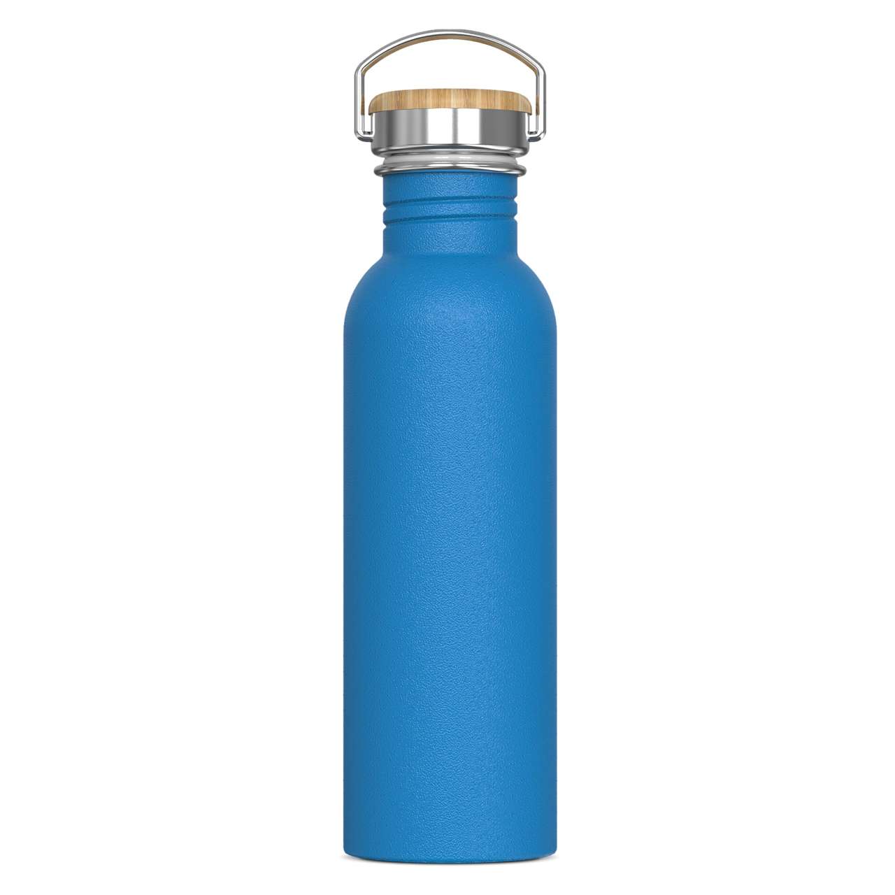Wasserflasche Ashton 750ml