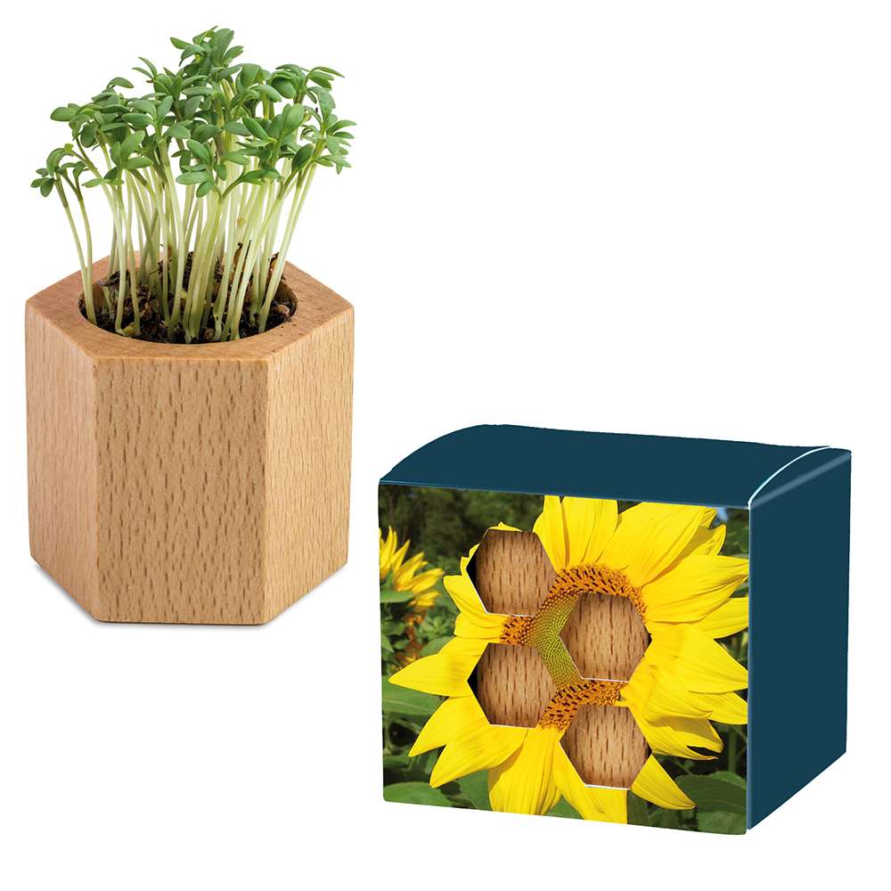Pflanz-Holz Hexagon mit Samen - Ostern