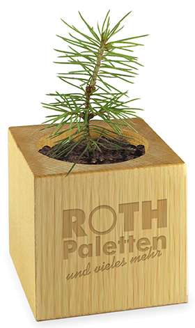 Pflanz-Holz - Standardmotiv - Frohe Weihnachten