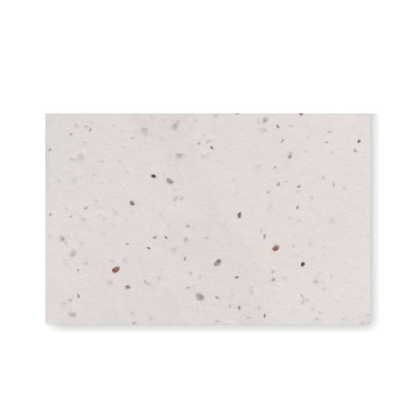 Wildblumensamen-Visitenkarte. ASIDA