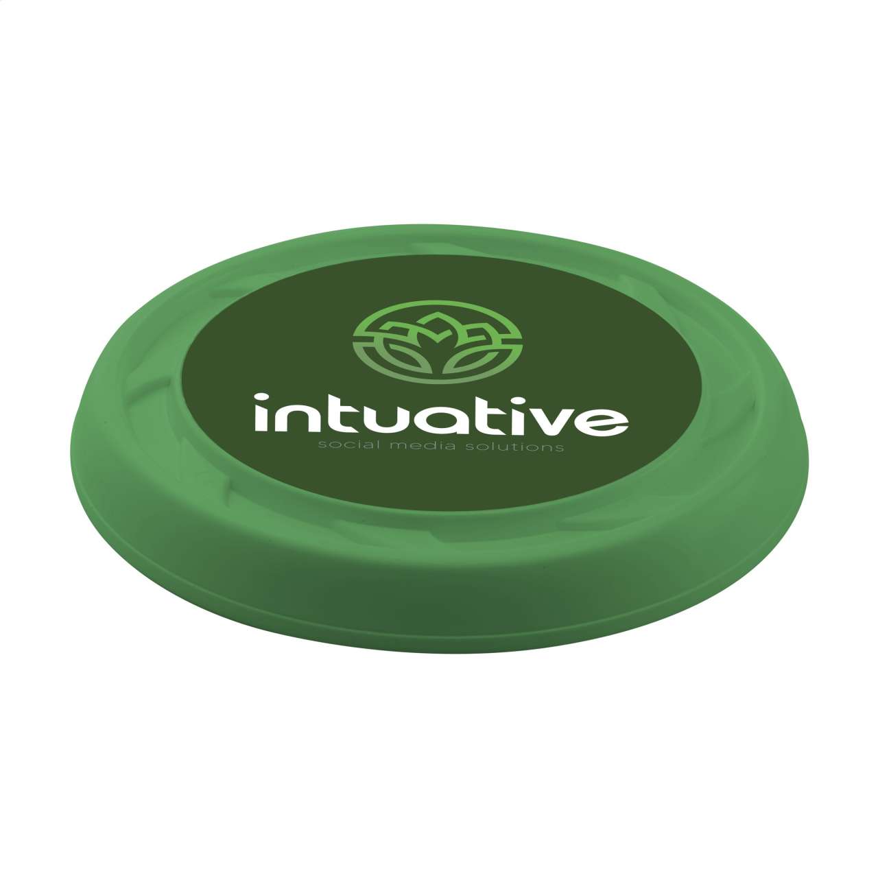 Recycled Plastic Wurfscheibe Cool Model